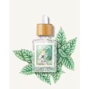 e-liquide menthe 30ml birdy